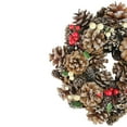 thumbnail image 3 of Northlight 10.25" Unlit Pine Cones and Berries Artificial Christmas Wreath, 3 of 4