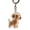 Happy puppy, variant on Pet Hair Memorial Keepsakes Keychain Dog Shape Figurine Furs Collector Box Clear Hanging Bag Charm Accessories