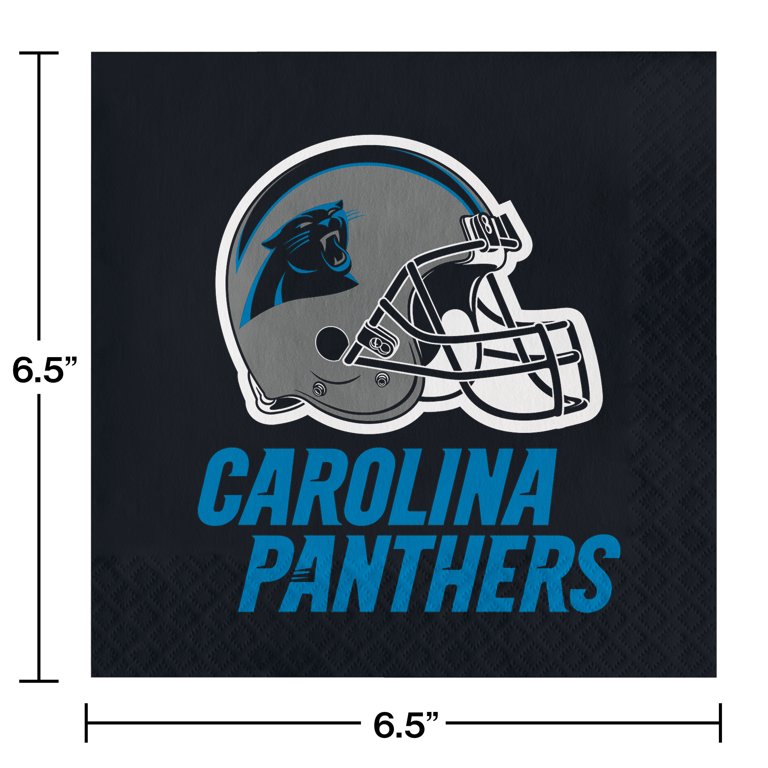 Game Day Photos  Carolina Panthers 