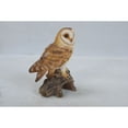 thumbnail image 4 of Hi-Line Gifts 7.25" Barn Owl on Stump Outdoor Garden Statue, 4 of 5