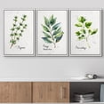 thumbnail image 2 of wall26 Framed Canvas Print Wall Art Set Pastel Thyme Bay Leaf Parsley Herbs Nature Wilderness Illustrations Modern Art Bohemian Decorative Rustic for Living Room, Bedroom, Office - 24"x36"x, 2 of 5