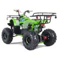 thumbnail image 4 of TaoTao T-Force Fully Automatic Mini Utility 110cc ATV, 4 of 4