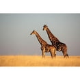 thumbnail image 3 of Anonymous 24x17 Black Modern Framed Museum Art Print Titled - African Skies II, 3 of 5