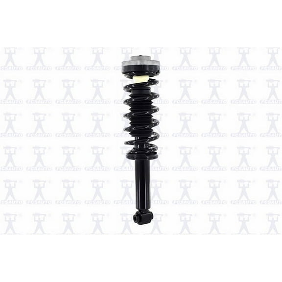 Suspension Strut and Coil Spring Assembly