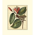 thumbnail image 2 of Vision Studio 26x29 White Modern Wood Framed Museum Art Print Titled - Petite Dragonflies V, 2 of 4