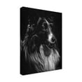 thumbnail image 2 of Trademark Fine Art 'Canine Scratchboard VII' Canvas Art by Julie T. Chapman, 2 of 4