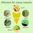 thumbnail image 3 of Stingmon 60 Pack Sticky Traps Indoor Plants Fruit Fly Traps, Yellow Sticky Trap Killer for Insects, Fungus Gnat Traps Sticky for House Plants Bugs, 3 of 3