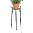 thumbnail image 2 of CobraCo SCBPS1030-B 30 in. Canterbury Scroll Top Plant Stand - Black, 2 of 4
