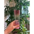 thumbnail image 2 of Rainbow Flat-Bottom Champagne Glass Flute, 2 of 5