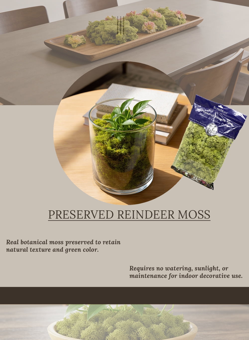 Serene Spaces Living Green Preserved Low-Maintenance Natural Moss Decorative Filler, 8 Ounce Bag
