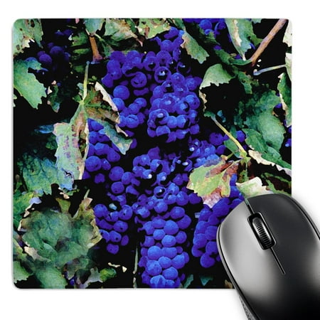 3dRose  Grapes  MousePad price history on PriceWatchPro