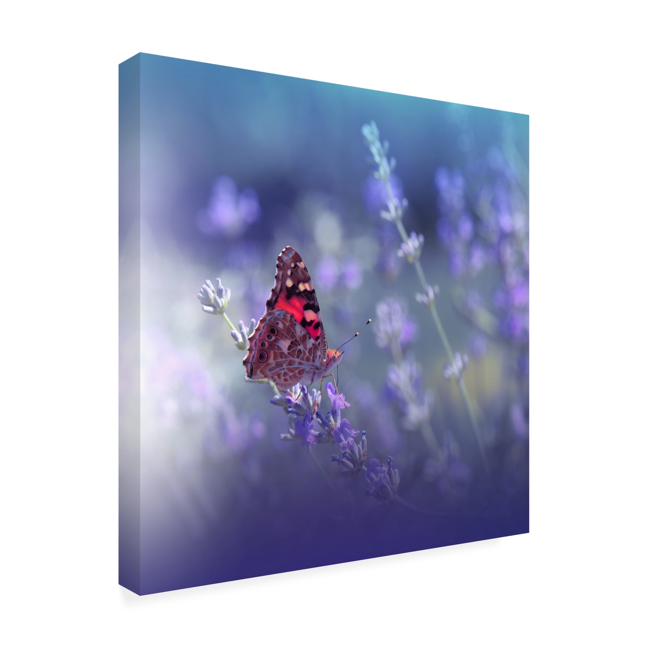 Canvas Wall Art - Juliana Nan 'Queen Of Flowers ' Wall Art for Living Room, Bedroom, or Office Décor by Trademark Fine Art - 14 x 14 Inches