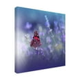 thumbnail image 3 of Canvas Wall Art - Juliana Nan 'Queen Of Flowers ' Wall Art for Living Room, Bedroom, or Office Décor by Trademark Fine Art - 35 x 35 Inches, 3 of 4