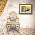 thumbnail image 3 of Mansfield, Kathy 18x14 Gold Ornate Wood Framed with Double Matting Museum Art Print Titled - Dappled Stream, 3 of 4