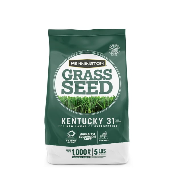 Pennington Kentucky 31 Tall Fescue, KY31 Grass Seed; 5 Pound Bag