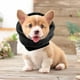 thumbnail image 3 of Funda calmante para orejas de perro, sudadera con capucha para cachorros, para aseo y secado forzado, manga para la cabeza Negro S, 3 of 8