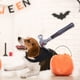 thumbnail image 4 of Fiudx Disfraz de Halloween para Mascota, Diseño de Arma Divertido, Ligero y Ajustable, Apto para Perros, Perfecto para Fiestas, Varios Tamaños, Seguro y Duradero, Talla de Pecho de 23,6 a 26 Pulgadas, 4 of 6