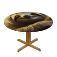thumbnail image 3 of BCIIG Sloth Round Table Cover Stain Resistant and Washable for Indoor Outdoor Tablecloth Kitchen Dining Wedding Parties 100% Polyester Fiber 54"-58, 3 of 8