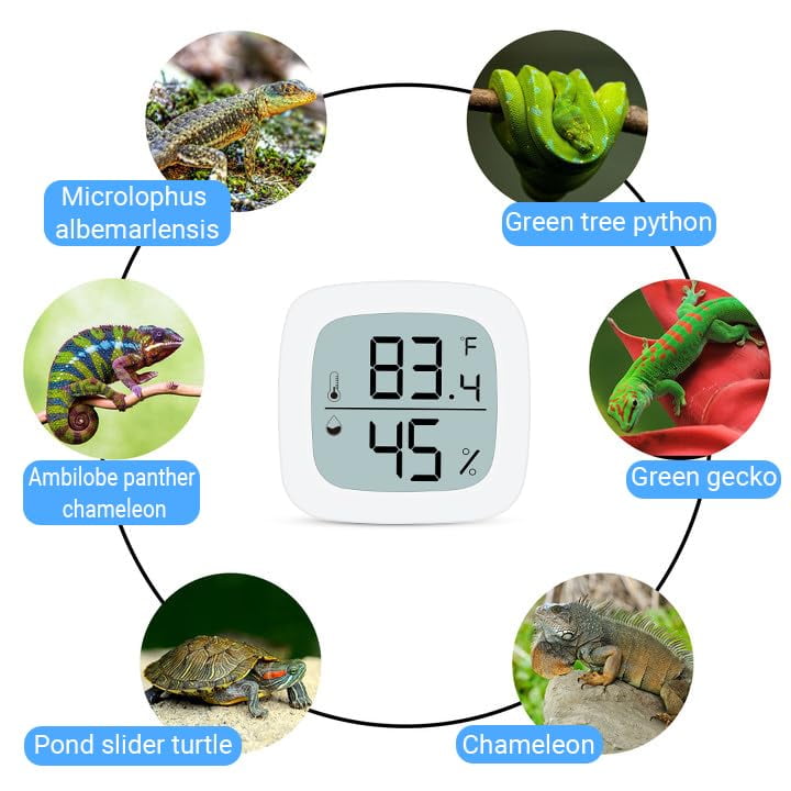 Reptile Terrarium Thermometer Hygrometer Pet Rearing Box Reptile
