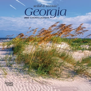 Georgia Tech Calendar