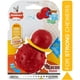 thumbnail image 2 of Nylabone Strong Chew Cono Mastable Toy de masticación para perros Sabor de tocino pequeño/regular: hasta 2 Nylabone Nylabone, 2 of 2