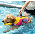thumbnail image 4 of Dog Life Jacket with Chin Float (Red) | High Buoyancy Dog Swimming Vest with Rescue Handle & Reflective Stripes, Adjustable, Tear Resistant for Small and Large Dogs, 4 of 6