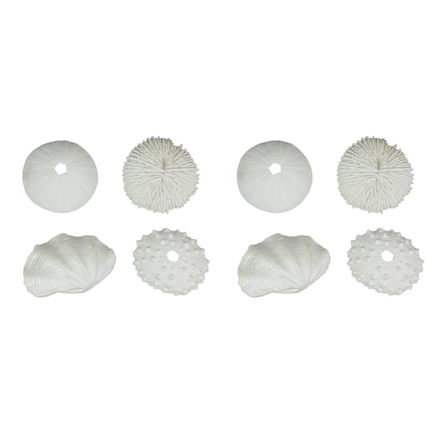 Set of 8 White Resin Clam and Sea Urchin Shell Decorative Accent Figures
