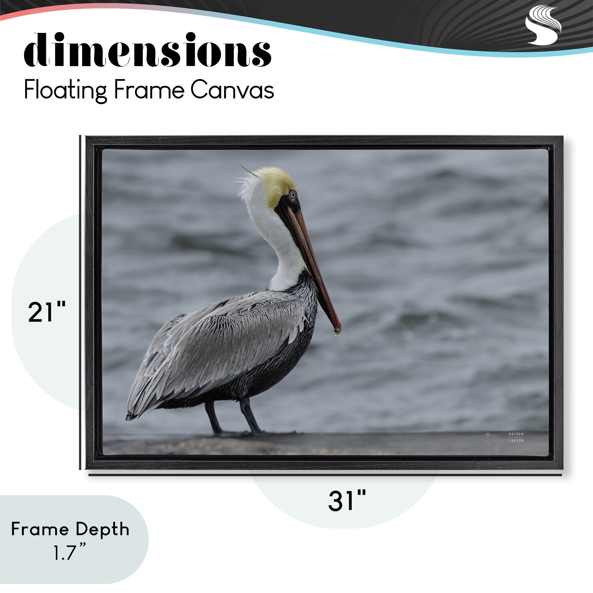 Stupell Industries Pelican Watch Photography Black Framed Floater Canvas Wall Art, design by Nathan Larson