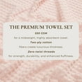 thumbnail image 4 of Great Bay Home Cotton Quick-Dry Textured Washcloth, 13" x 13", Pink, 4 of 6