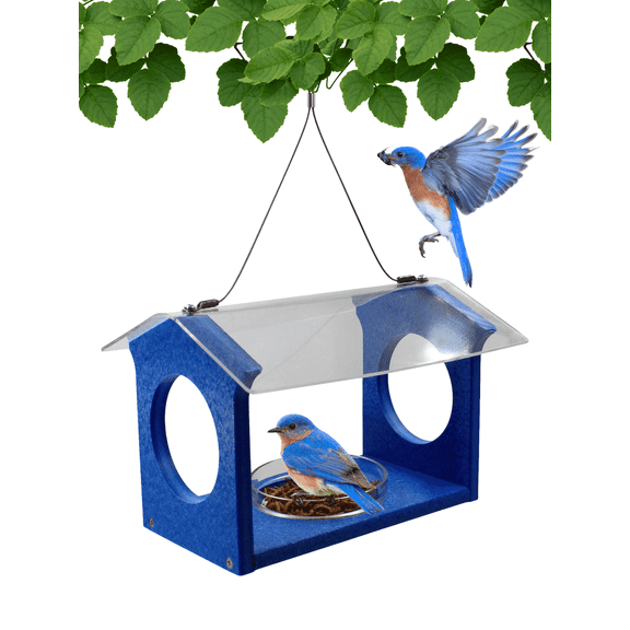 Songbird Essentials Mealworm Feeder Recycled Plastic Bluebird Feeder, 4-6 oz. Capacity