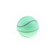 thumbnail image 4 of Pelota de Baloncesto Hinchable Yotijar Juguetes para Juegos de Simulación Verde Bouncy Balls Toy, 4 of 7