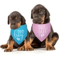 thumbnail image 5 of Team Girl Team Boy Gender Reveal Baby Announcement Dog Bandana Pregnancy Announcement Photo Prop Pet Scarf Decorations Accessories for Dog Lovers Pack of 2, 5 of 6