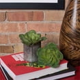 thumbnail image 2 of Vickerman FA170601 Plante en Plastique Verte Succulente, 2 of 3