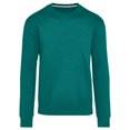thumbnail image 1 of SG Sweat-Shirt Adulte en Coton Ringspun Sans Étiquette, 1 of 2