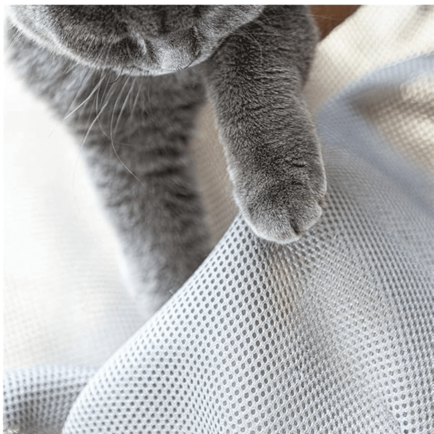 Cat Bed [Large Size] Dog Bed Pet Hammock Bed Free-Standing Cat Sleeping Cat Supplies Pet Supplies Whole Wash Stable Structure Detachable Excellent Breathability Easy Assembly