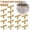 Gold, variant on 15 Pack Stainless Steel T Bar Cabinet Knobs Single Hole, Matte Black Modern Round Drawer Pull Handles, Waterproof Anti-Rust Cabinet Door Knobs for Kitchen, Dresser, Bathroom Vanity & Wardrobe