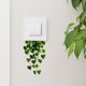 thumbnail image 3 of Pegatinas de pared para dormitorio y sala de estar con temática de plantas verdes y amigables de Kojanyu,calcomanías de papel autoadhesivas de plantas para embellecer el fondo del hogar., 3 of 6