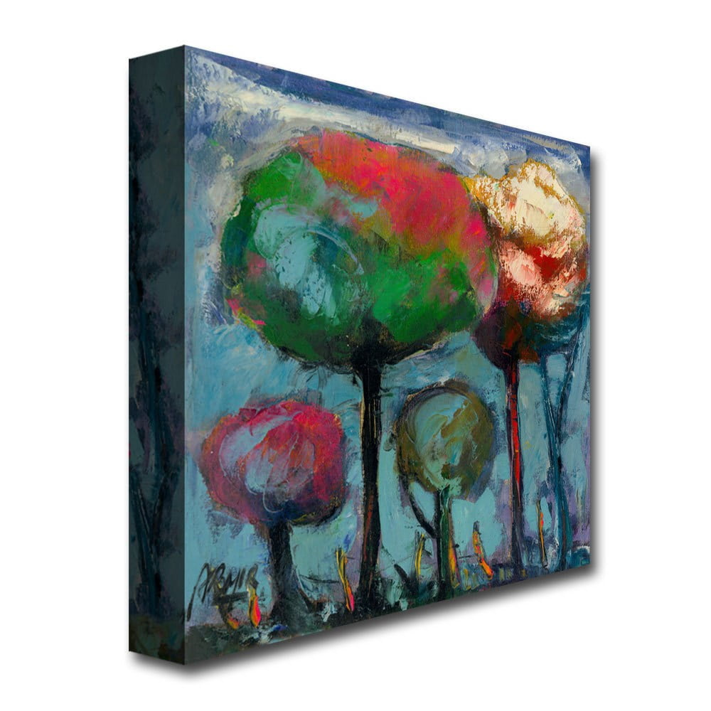 Trademark Fine Art "Niebla de Colores" Canvas Art by Boyer