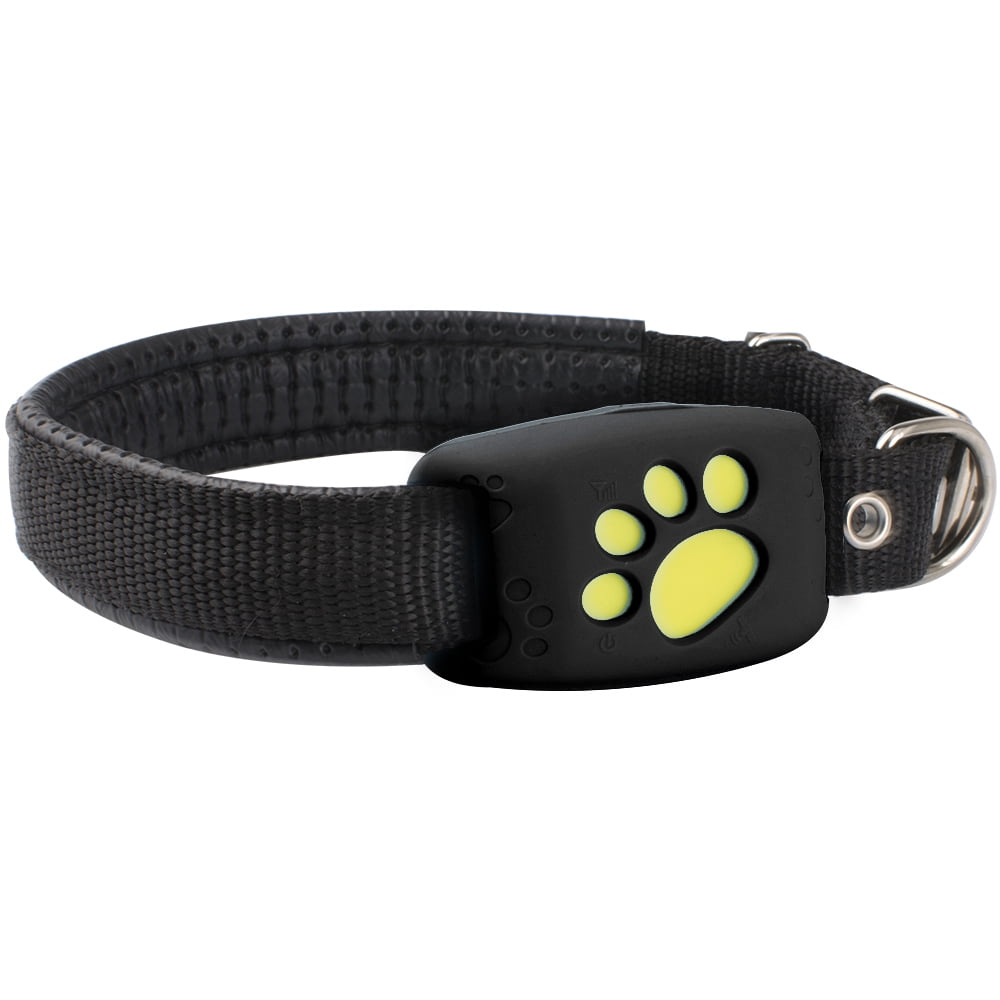 gps for your pet