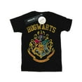 thumbnail image 1 of Harry Potter Boys Filled Crest Varsity T-Shirt, 1 of 3