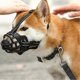thumbnail image 2 of Dog Muzzle Reflective Adjustable Prevent Biting Hollow Dog Mouth Guard for Walking Grooming Home, 2 of 4