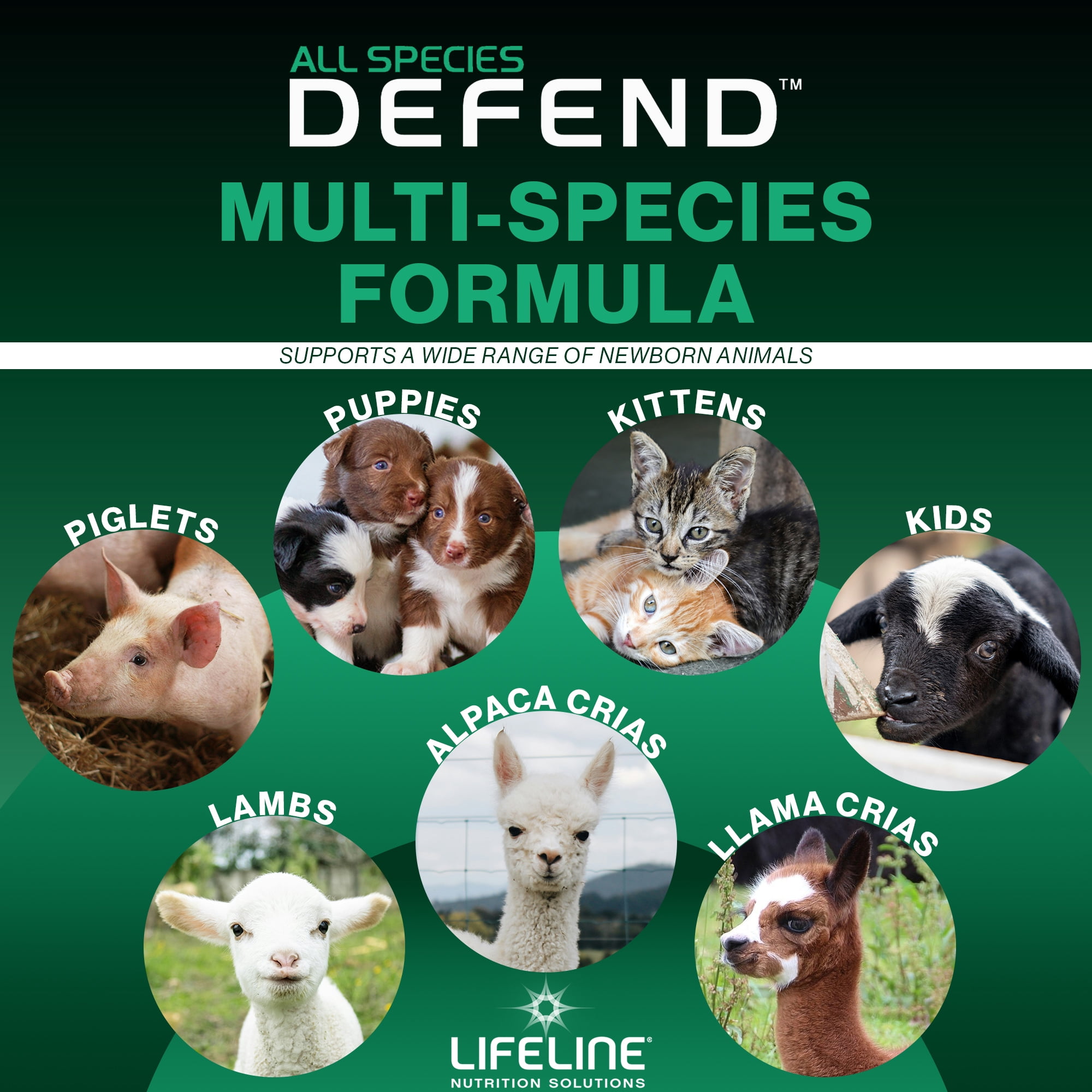 ANNUSO LIFELINE Defend All Species Colostrum Supplement, 1lb Bag - 30g Globulin Protein - Prebiotics, Immune & Gut Support - For Lambs, Kids, Piglets, Puppies, Kittens - Easy Mix Serum-Based Formula