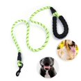 thumbnail image 4 of Correa para tirar de mascotas, cadena reflectante de nailon para perros, cuerda de seguridad para cachorros, perros medianos y grandes, para correr, caminar y entrenar, color verde, 4 of 11