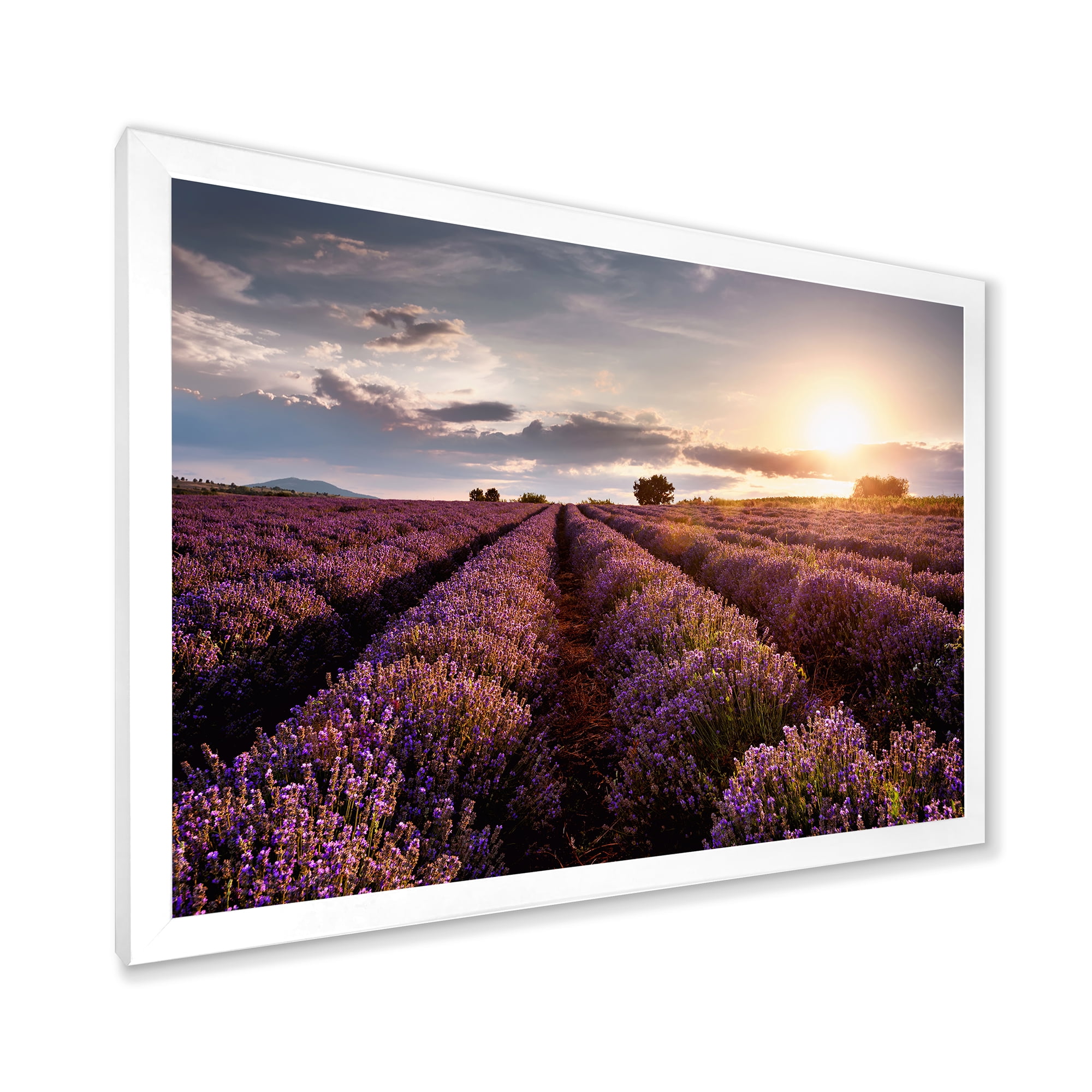 Designart 'Dramatic Clouds and Sunrise Over Lavender Field V' Farmhouse Framed Art Print