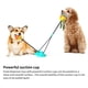 thumbnail image 4 of Suministros Para Perros Molares Bola Resistente A Mordeduras Succionador Fuerte Juguete Para Perros Suministros Para Mascotas Cateissary PT001654-03, 4 of 7