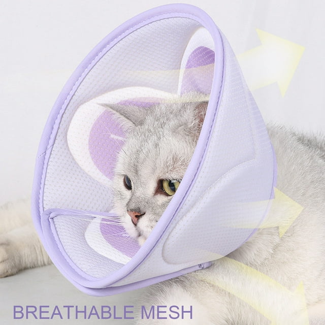 CBFFDC Collier Conique Ajustable Doux pour Récupération Confortable Respirant pour Animaux Post-Chirurgie Fournitures pour Animaux