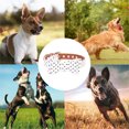 thumbnail image 5 of Collar para perros de lunares, tela linda ajustable para perros pequeños, medianos y grandes, niños y niñas, 5 of 5