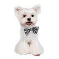 thumbnail image 5 of Pooch Outfitters  Sparky Bow Tie - Silver - Extra Large, 5 of 6