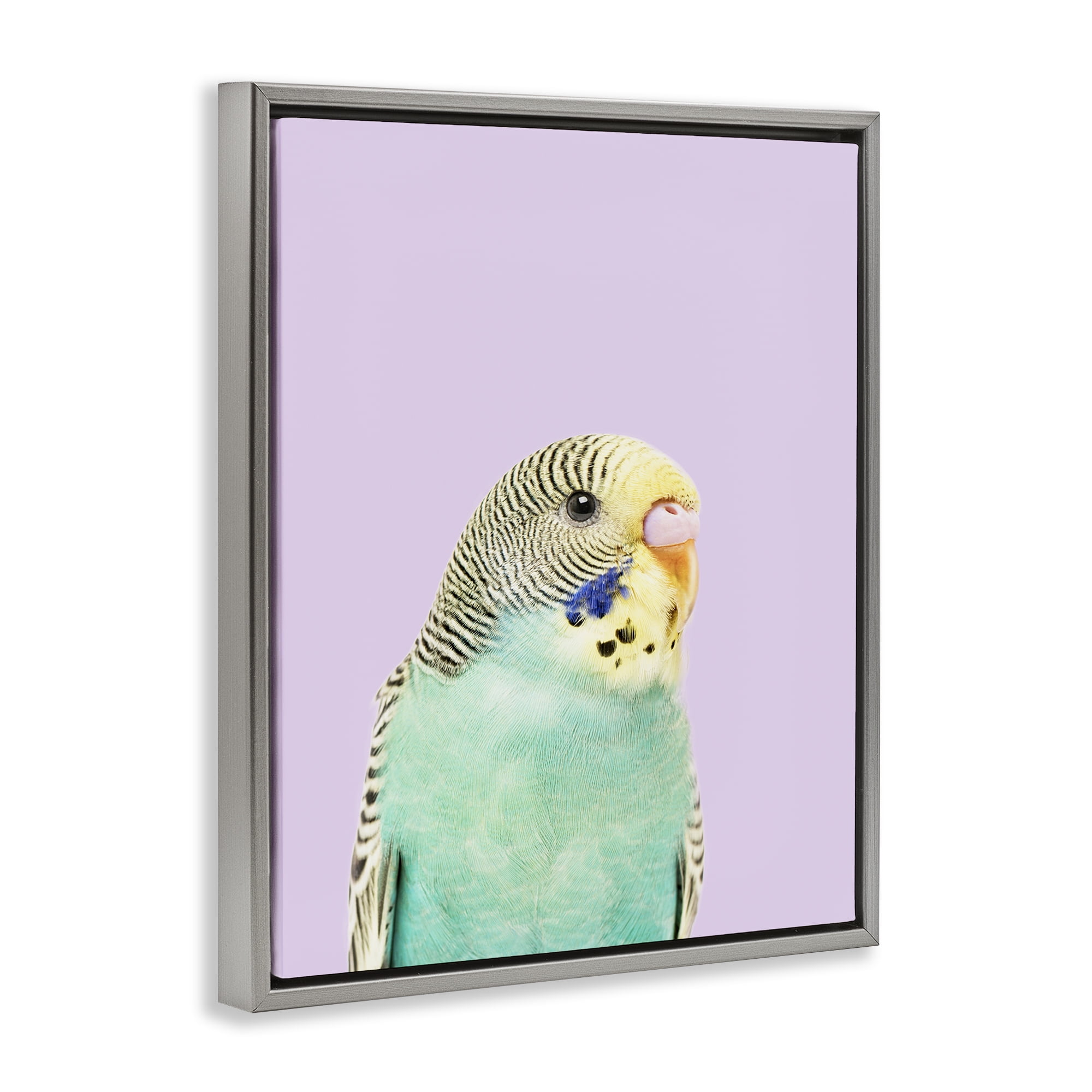 Stupell Industries Pastel Budgie Bird Animals Painting Gray Floater Framed Canvas Art Print Wall Art, 25 x 31
