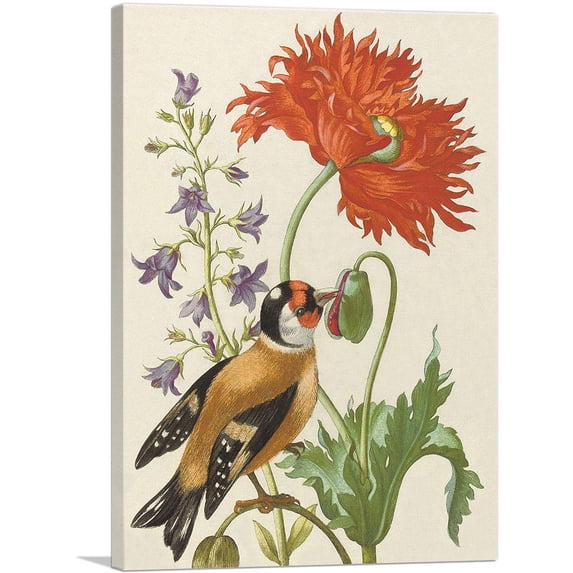 ARTCANVAS Flower Book Canvas Art Print by Maria Sibylla Merian - Size: 12" x 8" (0.75" Deep)